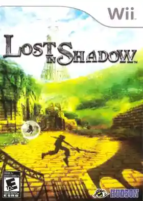 Lost in Shadow